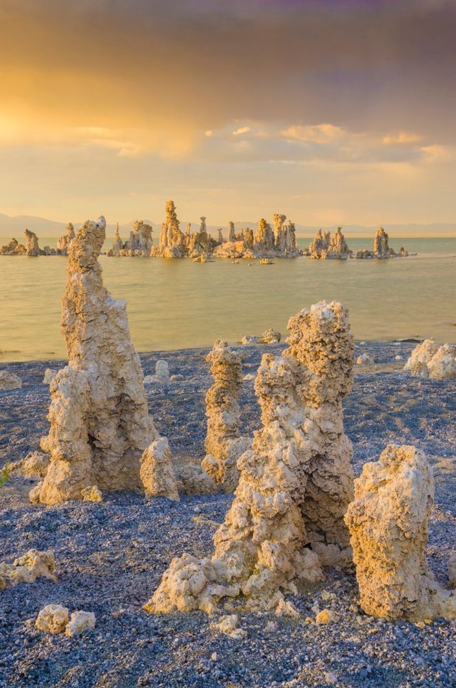 Tufas on Mono Lake-Eastern Sierras-California-USA